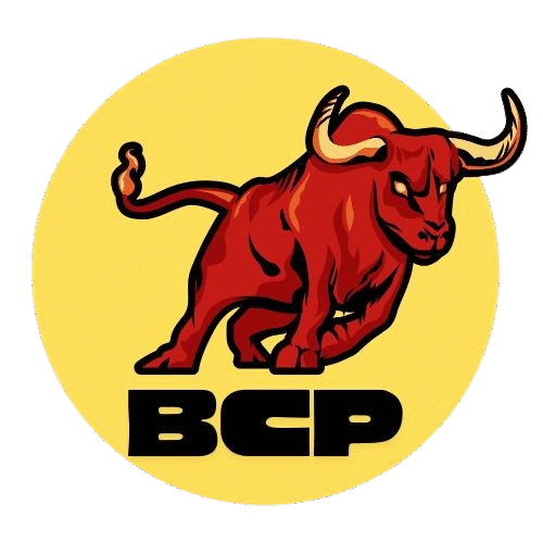 bullcitypace.com