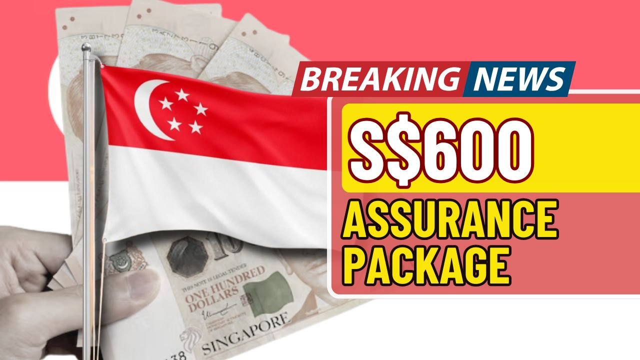 Singapore AP Support